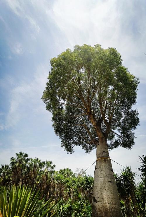 翰墨寫初心，妙筆揚(yáng)清風(fēng)——省建設(shè)科研院組織參加集團(tuán)紀(jì)委清廉文化作品展(圖5)